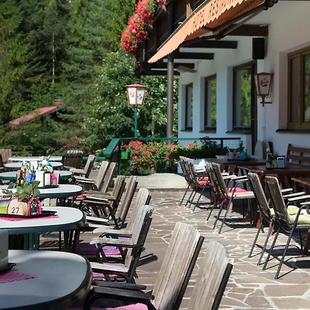Hotell Alpina Regina Biberwier