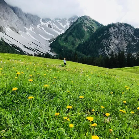 Отель Alpina Regina
