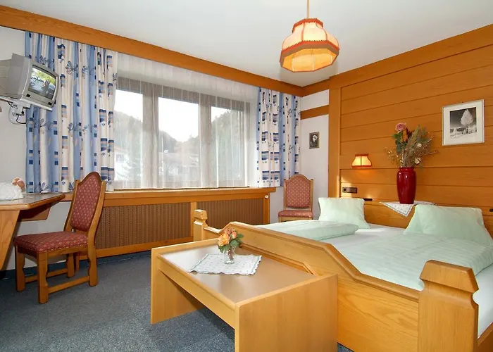 Alpina Regina מלון 3*