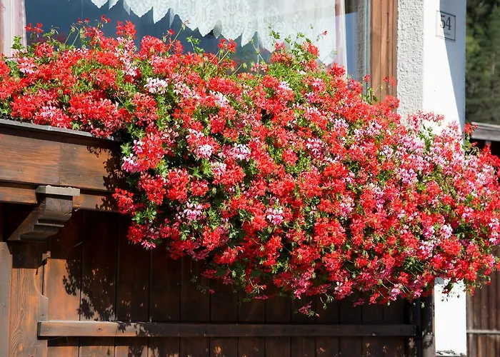 מלון Alpina Regina 3*