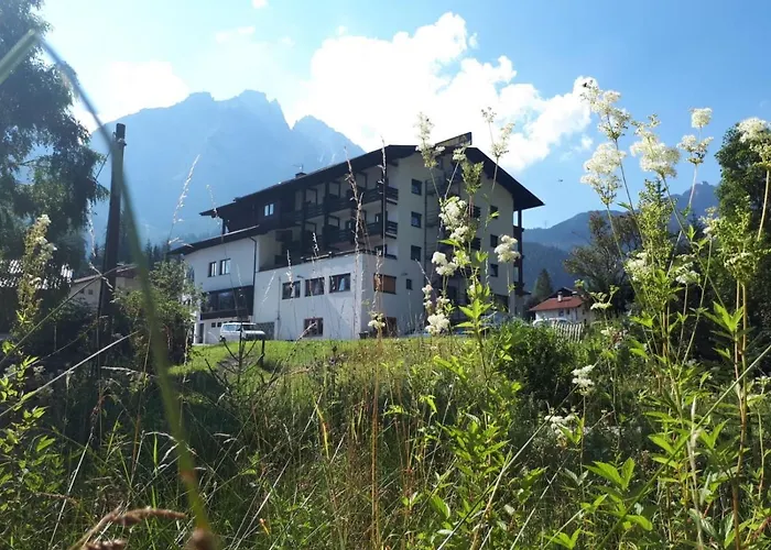 Alpina Regina 3* ביברוויר