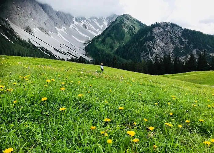 מלון Alpina Regina